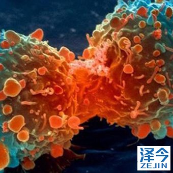 AZD9291类似药在国内开展的临床试验了吗？