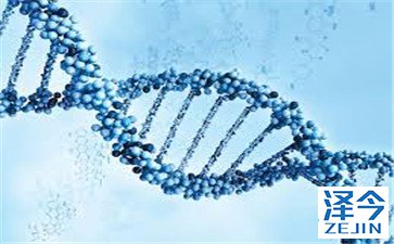 AZD9291针对肺癌T790M/L858R的基因突变