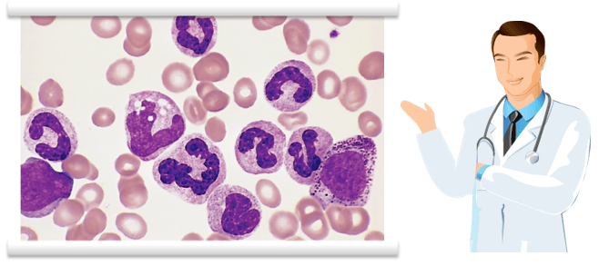 普纳替尼,Ponatinib