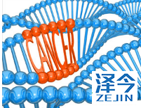 奥希替尼9291的说明书