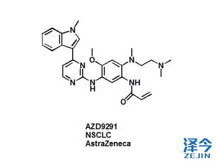 阿斯利康公司的30亿美元的潜在癌丸-AZD9291