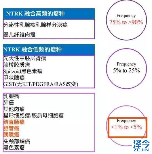 开辟新天地！曝新肺癌靶向用药相关基因被发现，这下患者或有救了