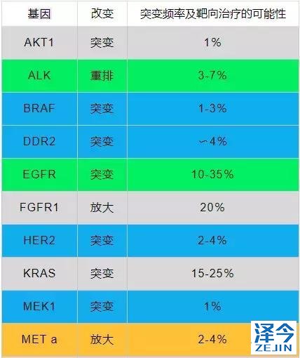 史上最全！肺癌靶点全面解读及对应靶向药物方案盘点！（2018）