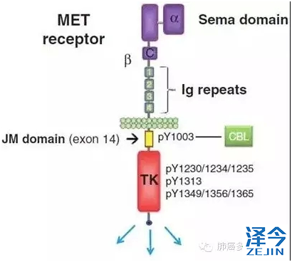 QQ图片20160129092508
