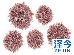 乐伐替尼和依维莫司治疗转移性肾癌的高血压