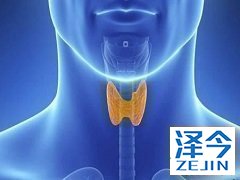 乐伐替尼治疗晚期胶质母细胞瘤小鼠实验