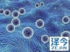 甲状腺癌靶向药乐伐替尼与凡德他尼的对比。