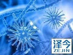 孟加拉仿制乐伐替尼的质量是否有保障？