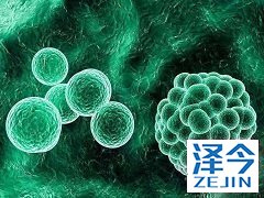 乐伐替尼的储存方法