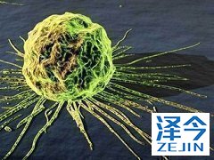 乐伐替尼与索拉菲尼治疗效果的数据对比。