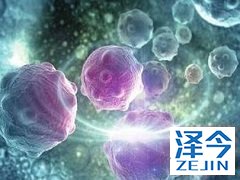 患者服用乐伐替尼出现不良反应应减量治疗。