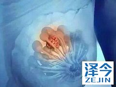 香港帕博西尼的价格是多少