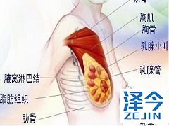 使用来那替尼可能有较高的副作用风险