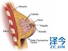 来那替尼表现出可管理性