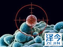 来那替尼的作用靶点有哪些