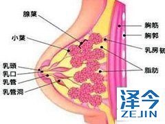 靶向新药来那替尼你了解吗？