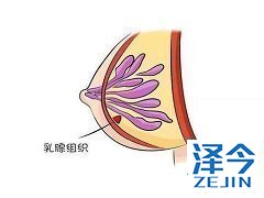 来那替尼的服用方法