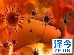 达沙替尼单独及与卡博替尼联合治疗脑胶质瘤