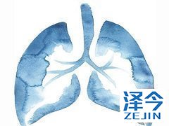 布加替尼比克唑替尼显著延缓了脑部疾病进展