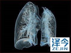 脑转移患者吃布加替尼能延长多久的生存期