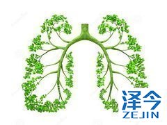 布加替尼是治疗非小细胞肺癌的新型ALK抑制剂