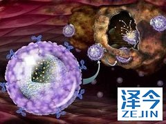 布加替尼的药物适应症