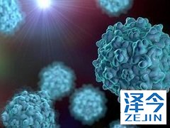 丙肝失代偿期是否会影响吉三代的治疗效果？