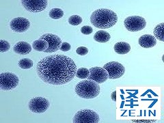 TAF治疗乙肝期间患者基本无需考虑肾毒性