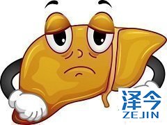 乙肝初治患者同样可以选择替诺福韦二代！