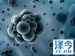 国内哪里可以购买到乙肝抗病毒药物TAF？