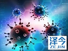 TAF的全球首仿药HEPBEST出产于哪里？