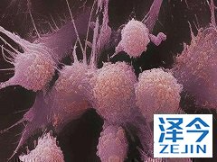 阿比特龙治疗前列腺癌何要与泼尼松联用？