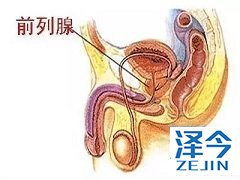 阿比特龙安全有效性的评估