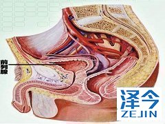 阿比特龙可改善部分患者的无进展生存期