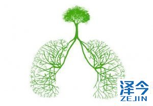 尼达尼布是否可以有效治疗肺癌？