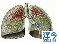 尼达尼布减量和停药标准是什么 