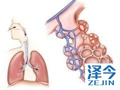 德国勃林格殷格翰生产的尼达尼布适应症有哪些