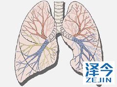 尼达尼布获批的适应症有哪些？