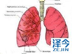 尼达尼布在使用过程中会出现副作用或不良反应吗
