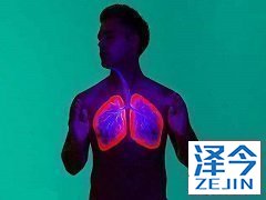 尼达尼布与药物的相互作用