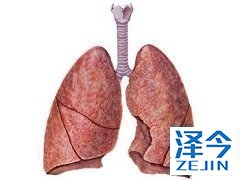 肝损伤的患者不建议使用尼达尼布