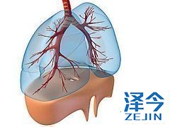 尼达尼布能增加患者的中位生存期