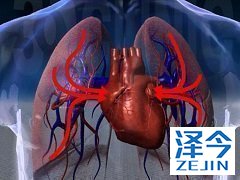 尼达尼布在治疗的过程中如何起效