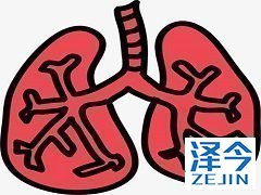 尼达尼布联合治疗效果优于多西他赛单药效果