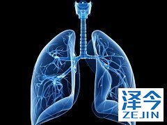 接受尼达尼布治疗的患者可能出现其他肺部疾病进程