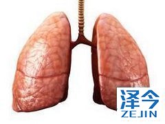 尼达尼布能用于特发性肺纤维化和非小细胞肺癌