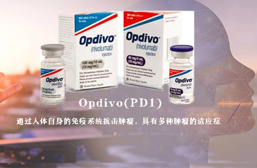 Opdivo(PD1)适用脑瘤，白血病抗癌药普纳替尼(Ponatinib)