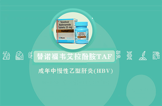 替诺福韦艾拉酚胺(TAF)慢性乙型肝炎(HBV)成人感染者