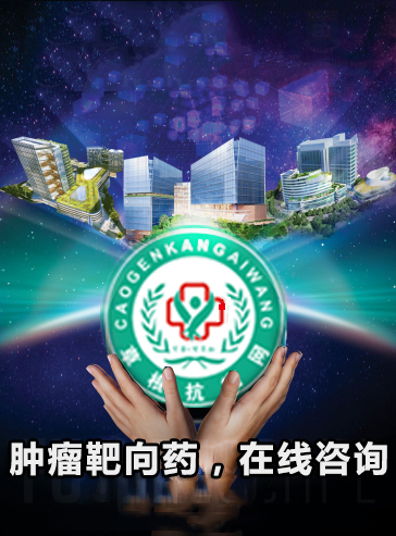 布加替尼(Brigatinib)(布吉他滨/布格替尼/Briganix) 布加替尼(Brigatinib)(布吉他滨/布格替尼/Briganix)